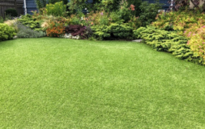 TERMITURF artificial grass 