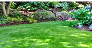 Just Quality artificial grass Adelaide