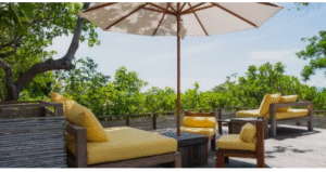 best outdoor umbrella