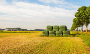 Silage Covers