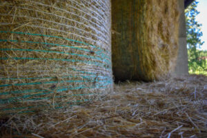baler twine