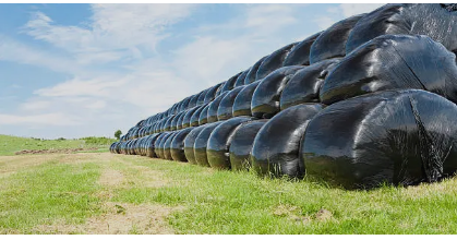 silage plastic