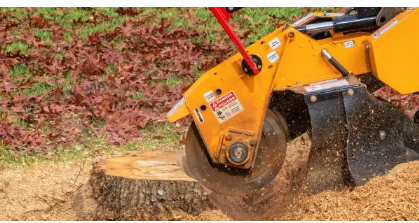 stump removal Adelaide hills