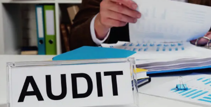 NDIS audit support